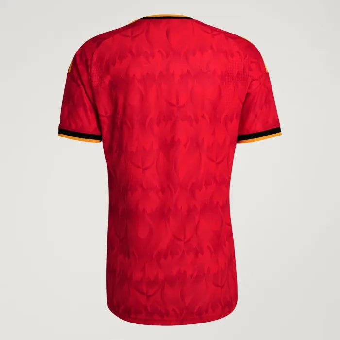 Belgium Jersey 2026 World Cup Football Kit Player Version