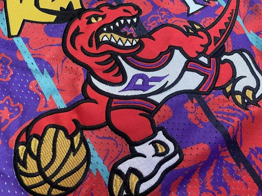 Vince Carter Toronto Raptors 1998/99 Hardwood Classics Lunar New Year Jersey - Purple