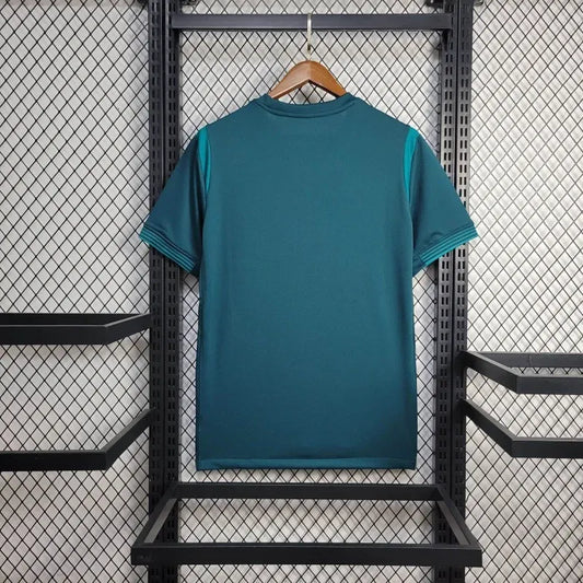 nigeria away jersey 2025 football kit soccer jersey