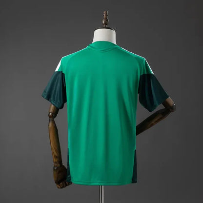 Algeria Training Jersey 2026 World Cup Football Kit Soccer Shirt