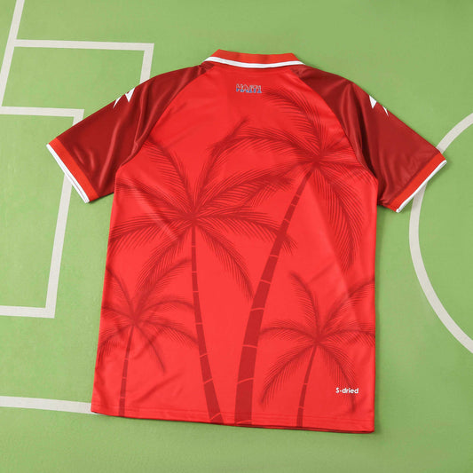 Haiti Third Jersey 2026 World Cup Football Kit Soccer Shirt