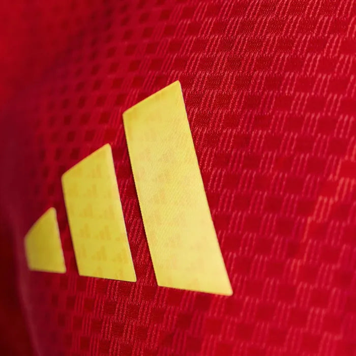 Belgium Jersey 2026 World Cup Football Kit Player Version