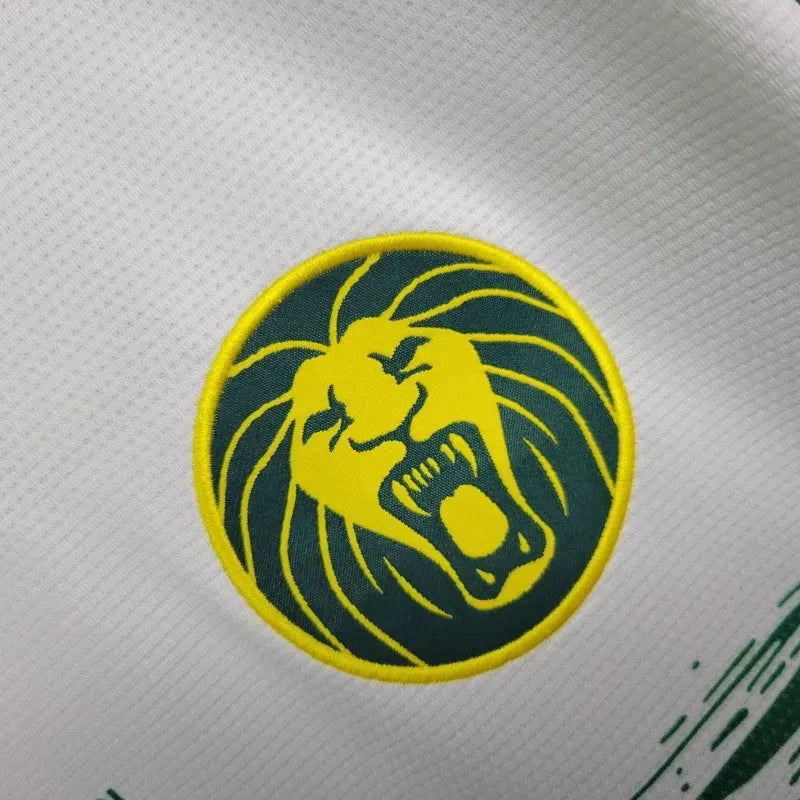 cameroon third jersey 2025 football kit soccer jersey